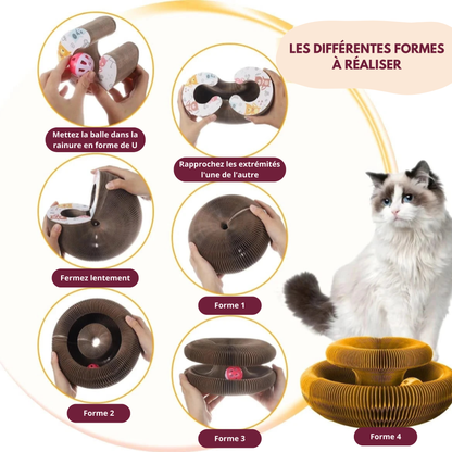 GRIFMAGIC™ – L'Accessoire Idéal pour Votre Chat ! 🐾